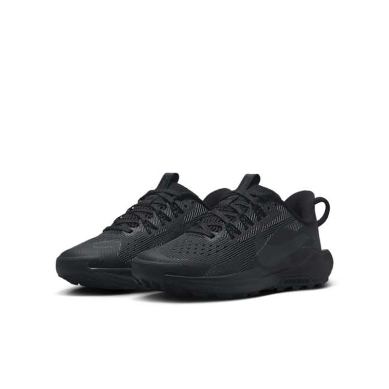 Nike Pegasus Trail 5 FV5638-001 05
