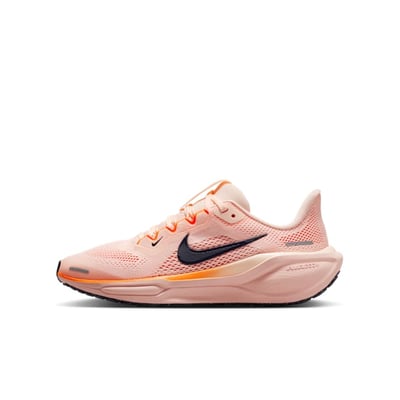 Nike Pegasus 41 FN5041-802
