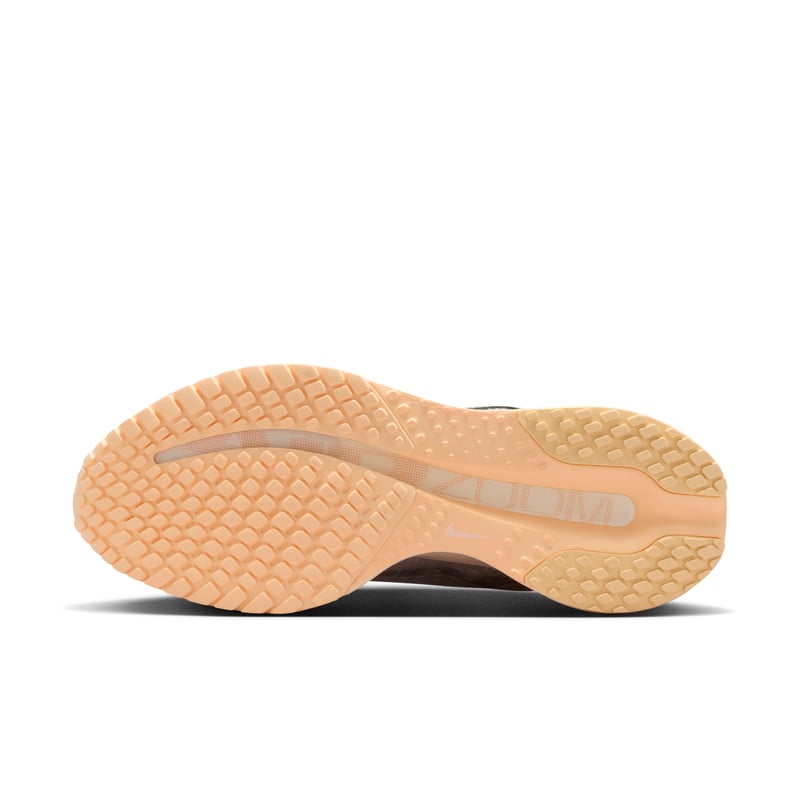 Nike Pegasus Premium HQ2593-012 02