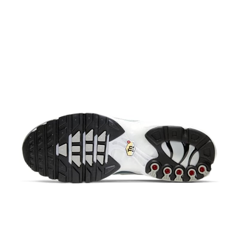 Nike Air Max Plus CW2646-100 02