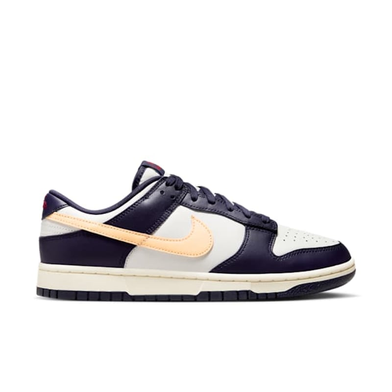 Nike Dunk Low Retro FV8106-181 03