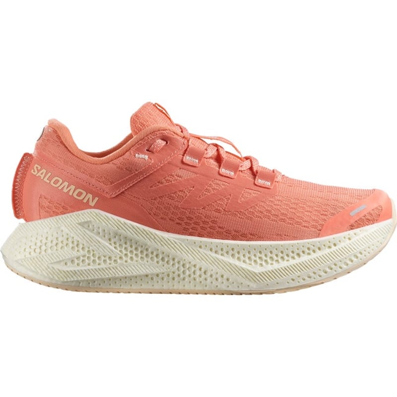 Salomon Aero Glide 3 L47810700 01