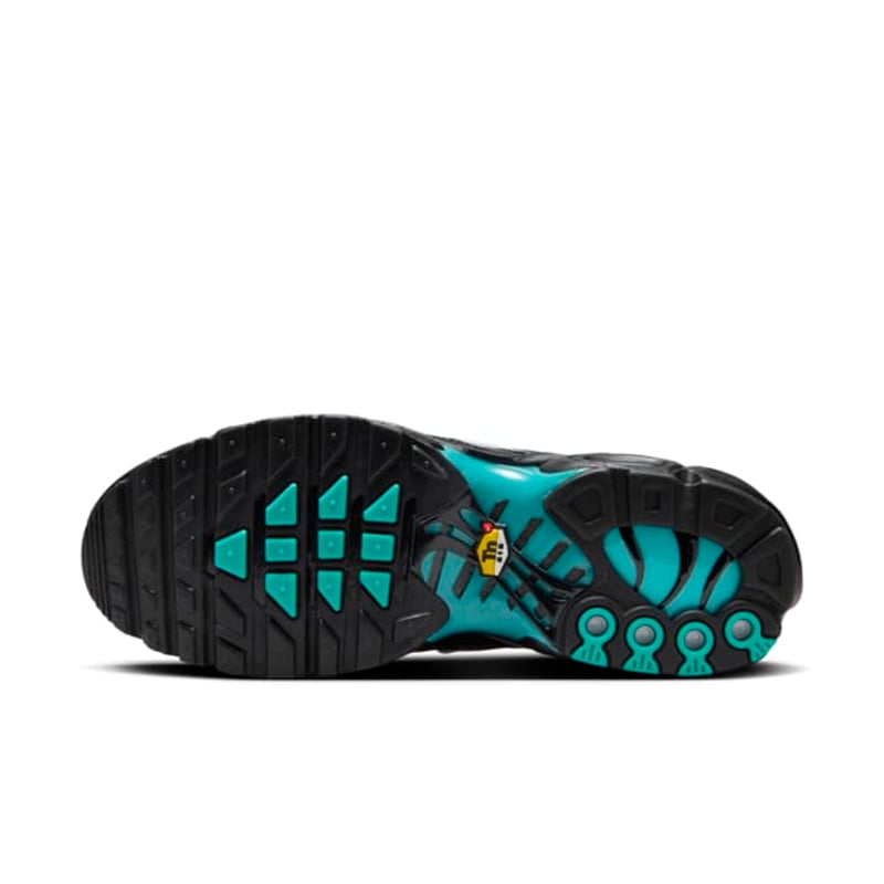 Nike Air Max Plus DM0032-401 02