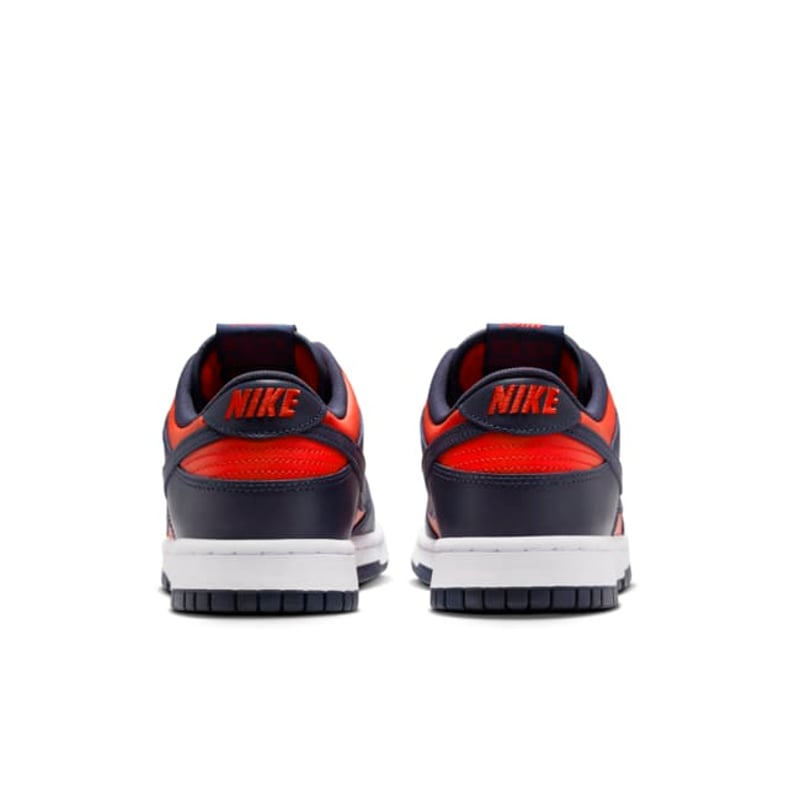 Nike Dunk Low Retro CO.JP DV0833-601 06