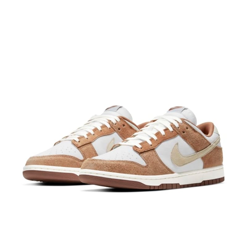 Nike Dunk Low Premium DD1390-100 05