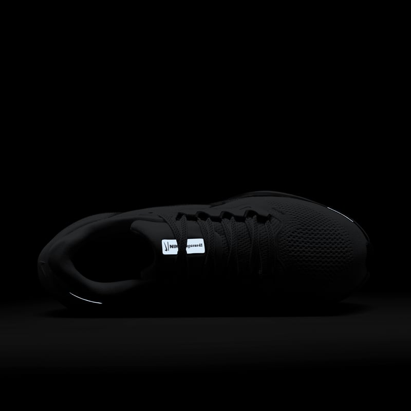 Nike Pegasus 41 FD2723-006 09