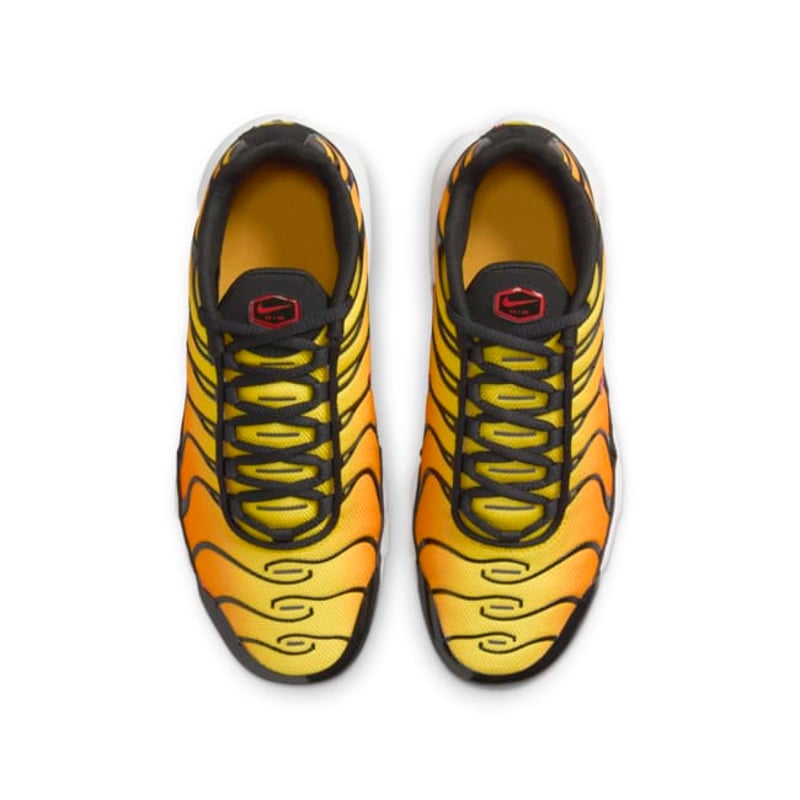 Nike Air Max Plus CD0609-029 04