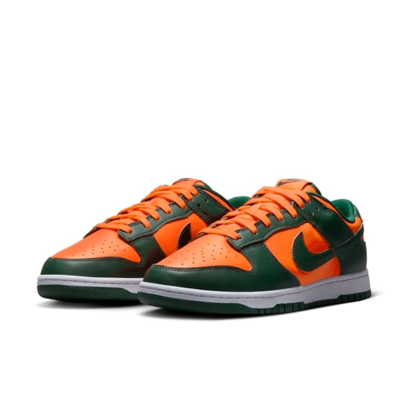 Nike Dunk Low Retro DD1391-300 05