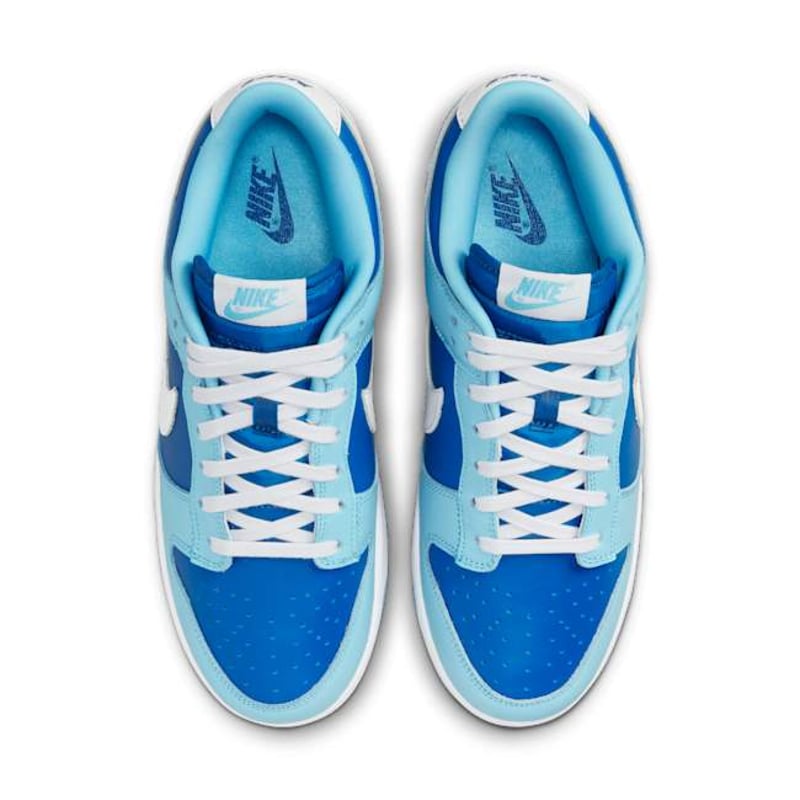 Nike Dunk Low Retro QS DM0121-400 04