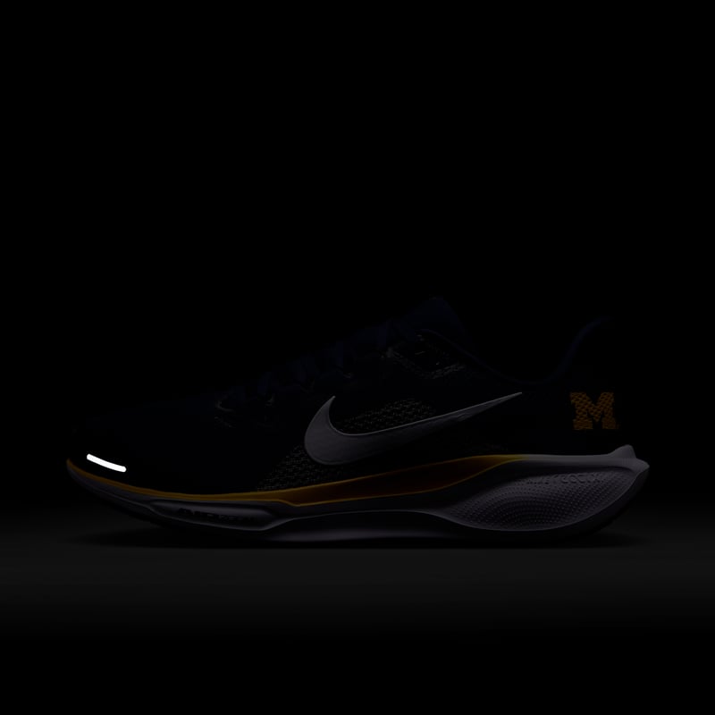 Nike Pegasus 41 IB3269-400 09