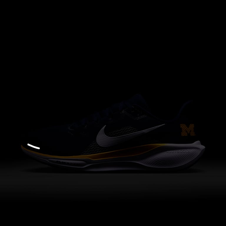 Nike Pegasus 41 IB3269-400 09