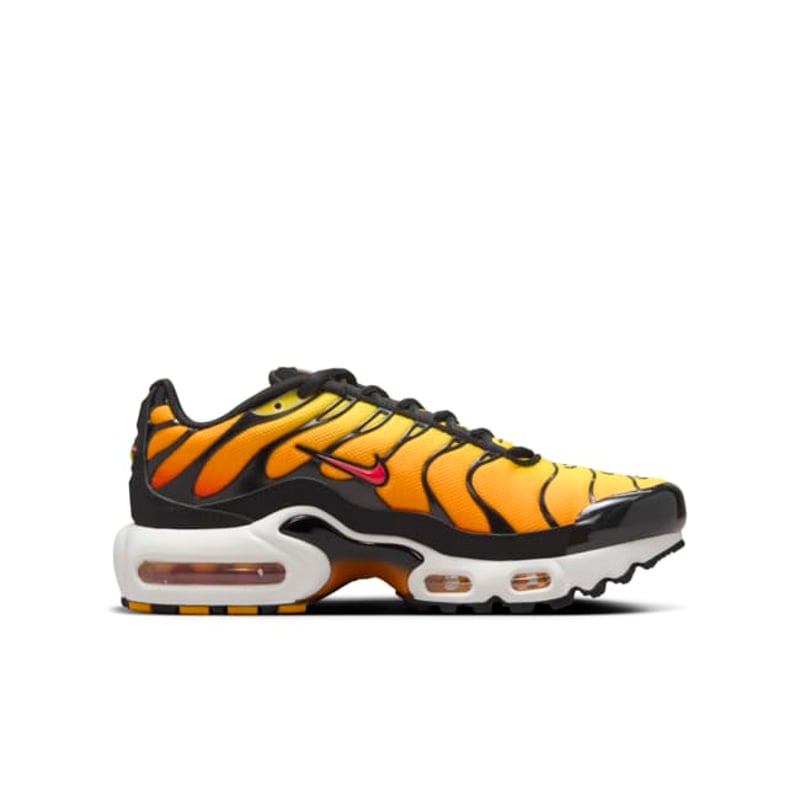 Nike Air Max Plus CD0609-029 03