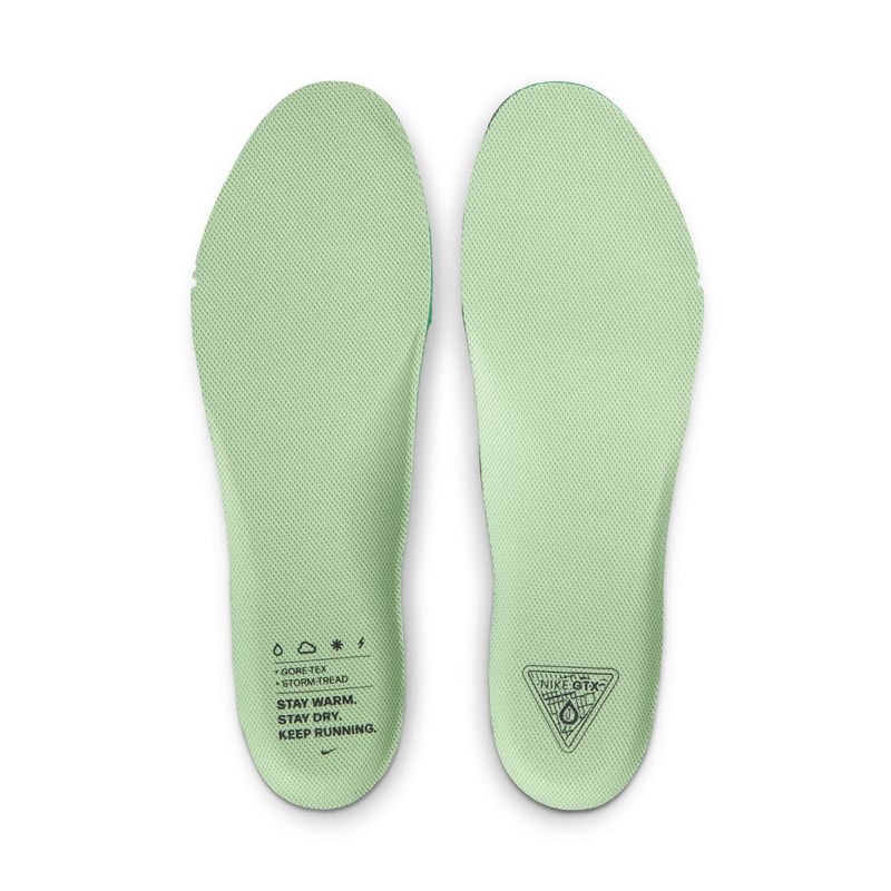 Nike Pegasus 41 GORE-TEX FQ1356-006 10