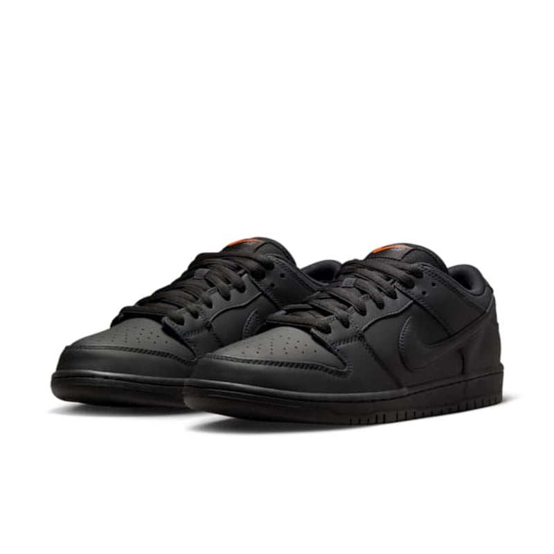 Nike SB Dunk Low Pro FJ1674-001 05
