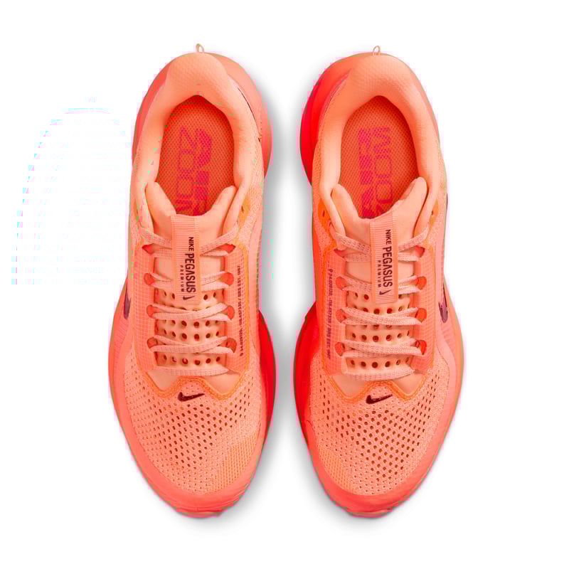 Nike Pegasus Premium HQ2593-802 04