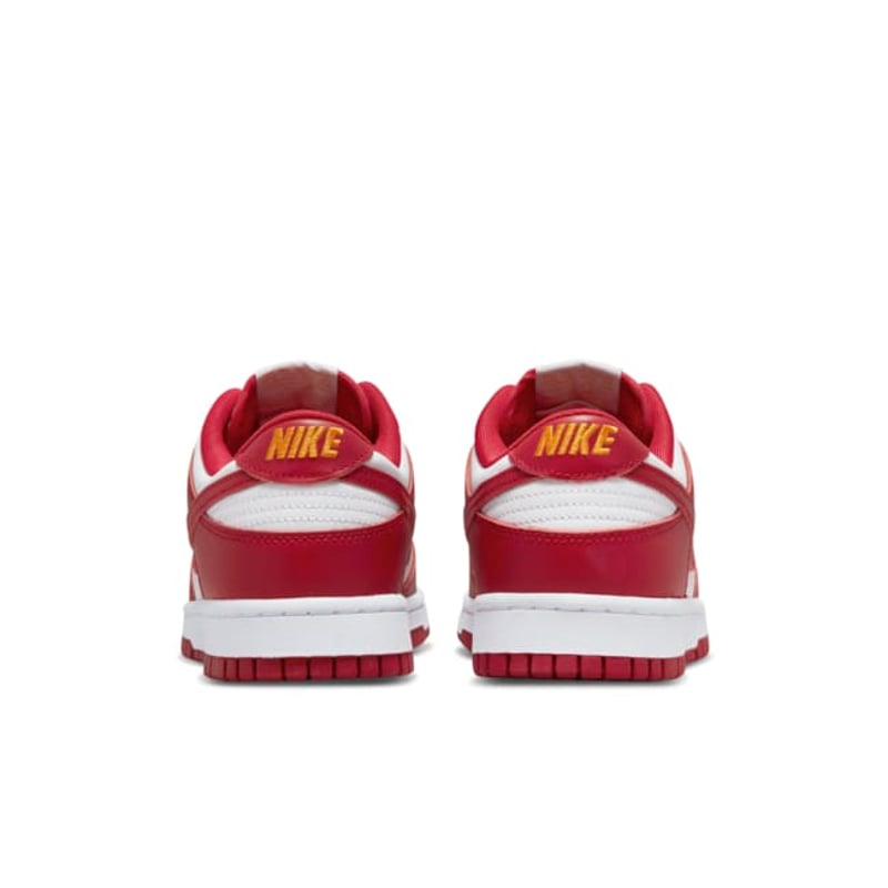 Nike Dunk Low Retro DD1391-602 06