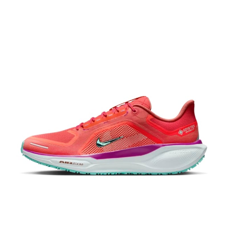 Nike Pegasus 41 GORE-TEX HM8872-600 01