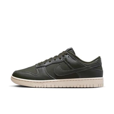 Nike Dunk Low Retro Premium DZ2538-300