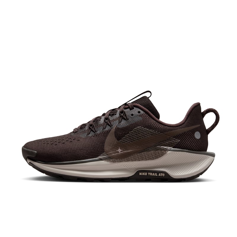 Nike Pegasus Trail 5 DV3865-202 01