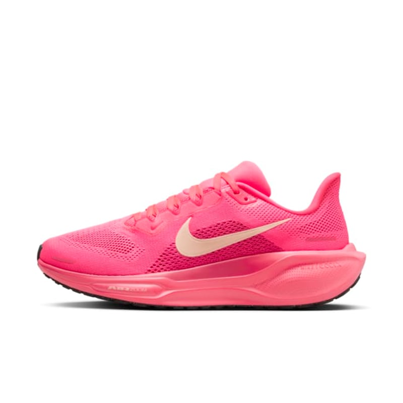 Nike Pegasus 41 FD2723-600 01