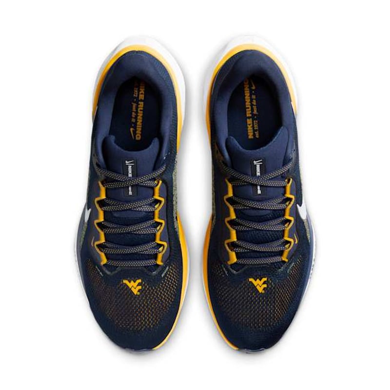 Nike Pegasus 41 FZ5153-400 04