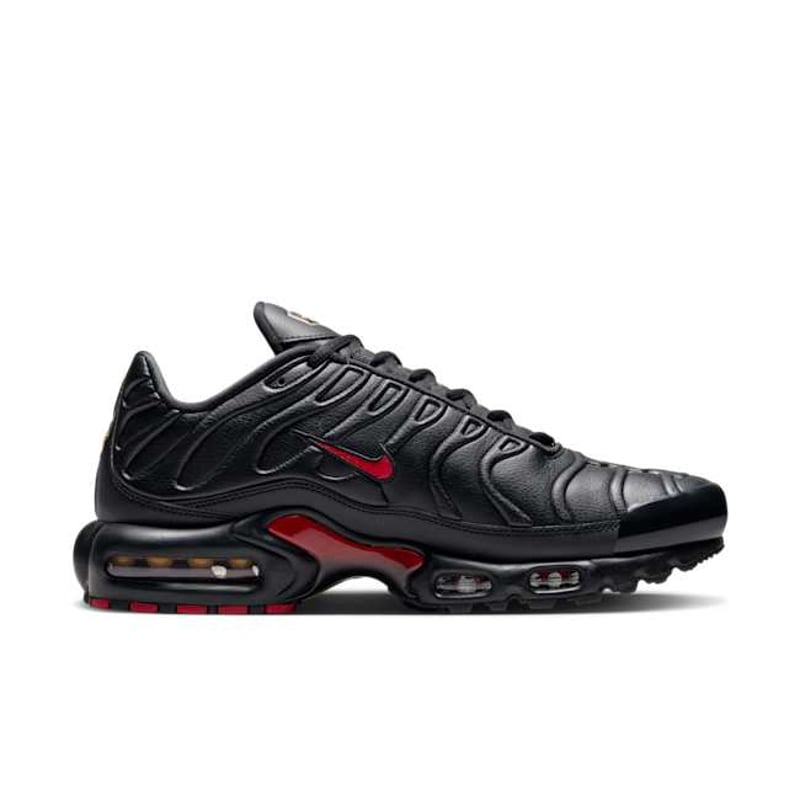 Nike Air Max Plus Premium FZ3038-001 03