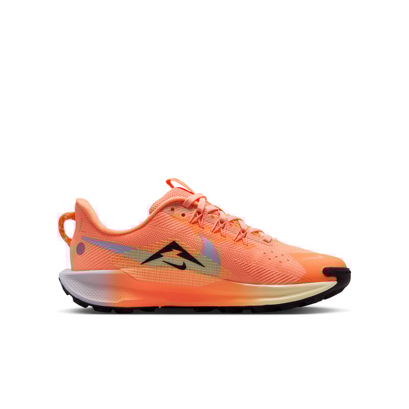 Nike Pegasus Trail 5 FV5638-800 03