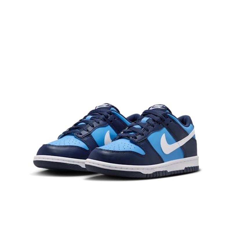 Nike Dunk Low HF0031-400 05