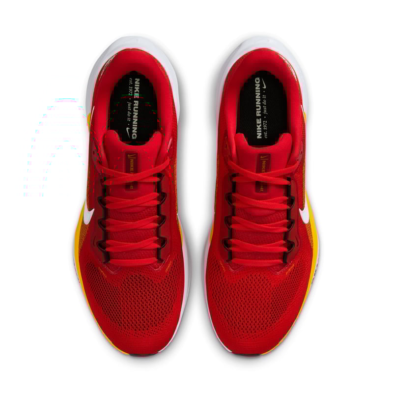 Nike Pegasus 41 x NFL IB3209-600 04