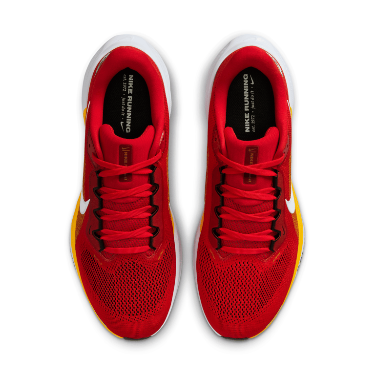 Nike Pegasus 41 x NFL IB3209-600 04