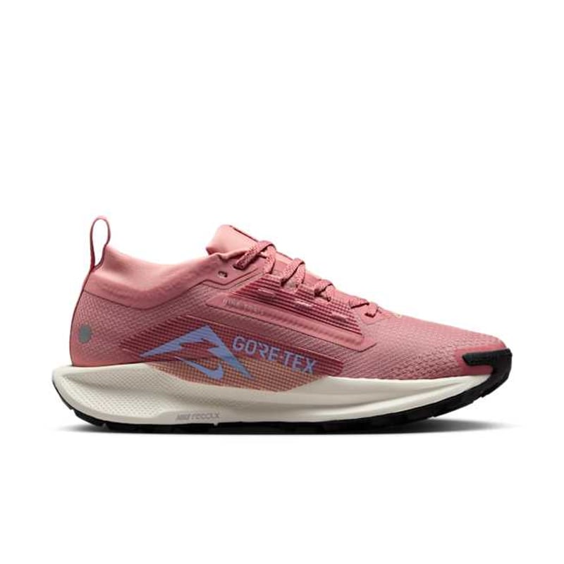Nike Pegasus Trail 5 GORE-TEX FQ0912-602 03