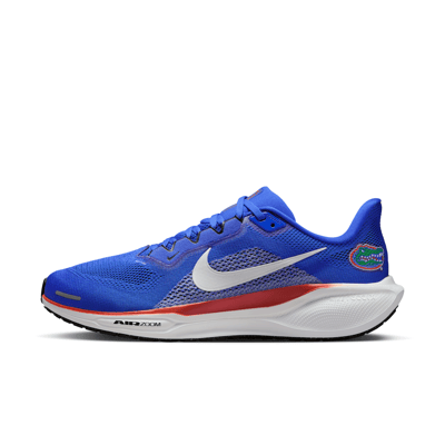 Nike Pegasus 41 IB3251-400