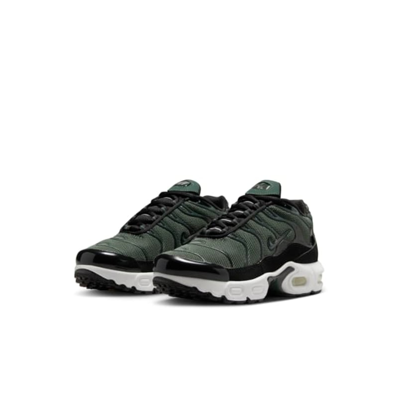 Nike Air Max Plus CD0610-302 05