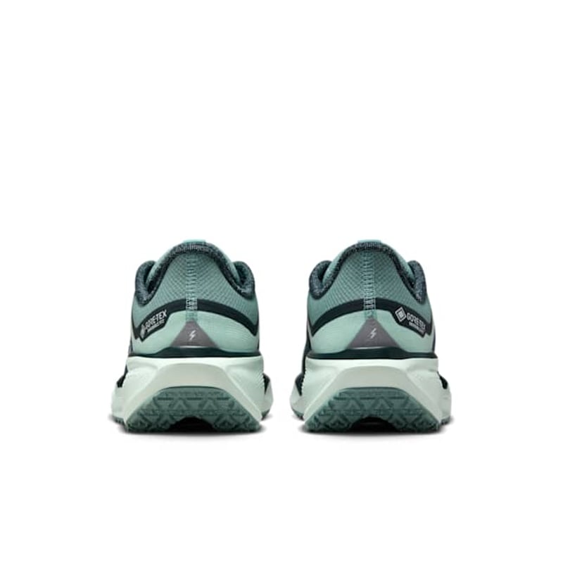 Nike Pegasus 41 GORE-TEX FQ1357-003 06
