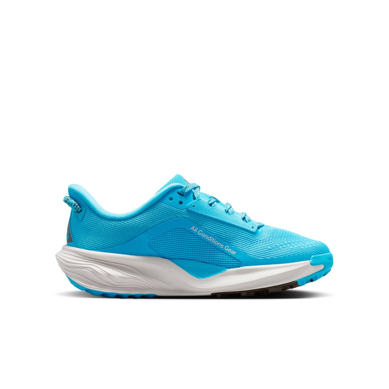 Nike ACG Pegasus IH2305-400 03