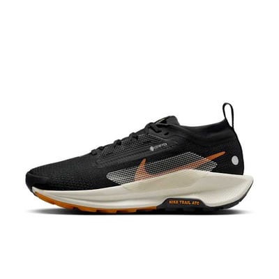 Nike Pegasus Trail 5 GORE-TEX FQ0912-005