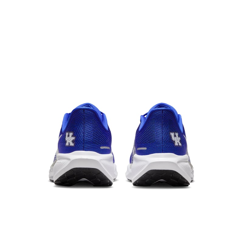 Nike Pegasus 41 IB3266-400 06
