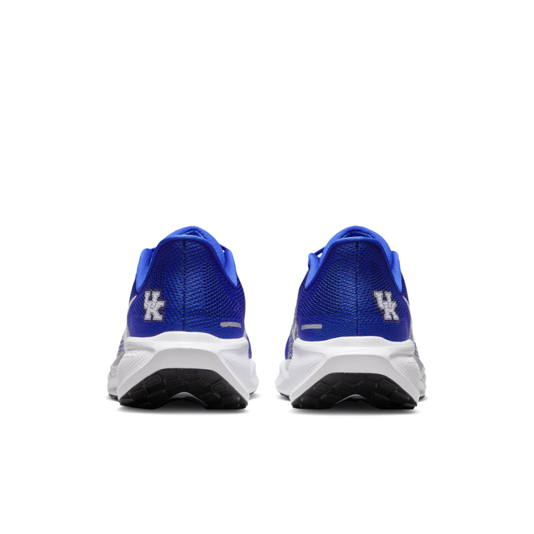 Nike Pegasus 41 IB3266-400 06