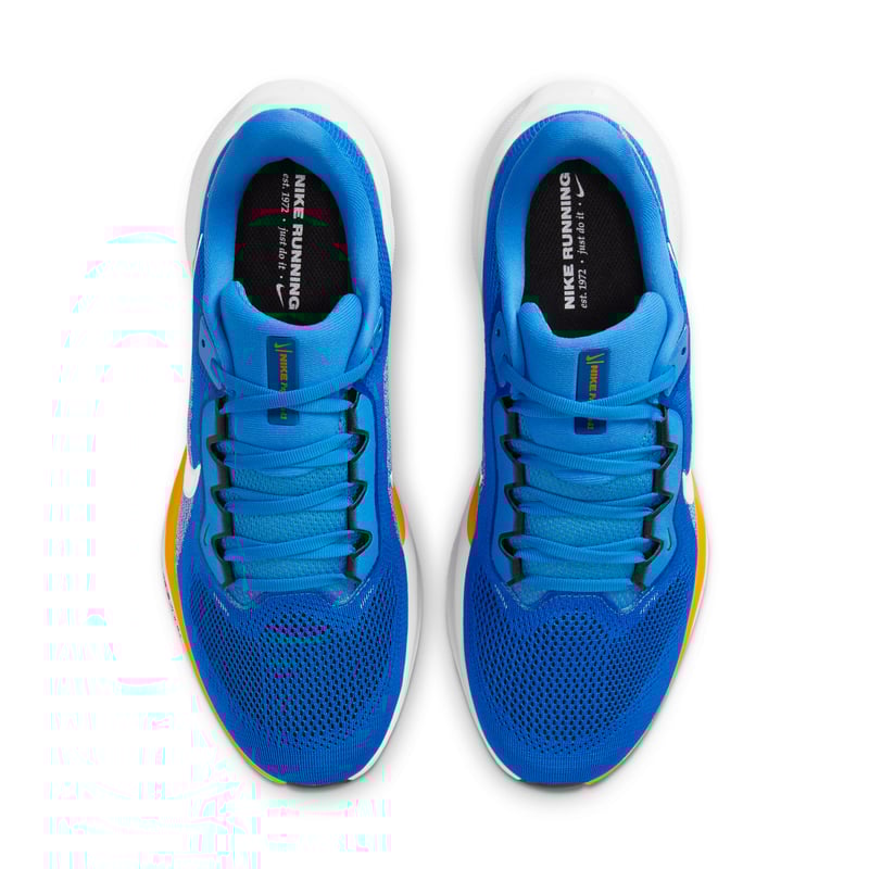 Nike Pegasus 41 x NFL IB3208-400 04