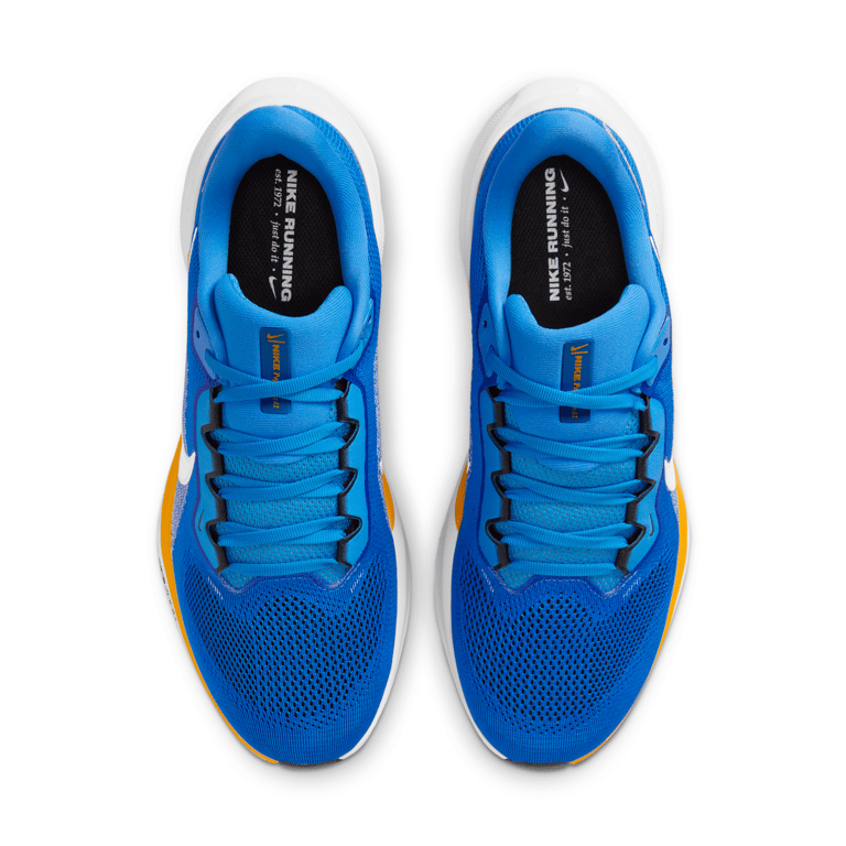 Nike Pegasus 41 x NFL IB3208-400 04
