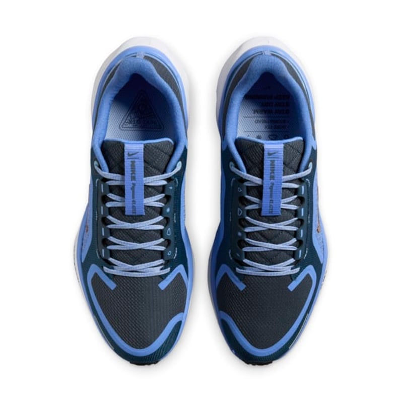 Nike Pegasus 41 GORE-TEX FQ1357-400 04