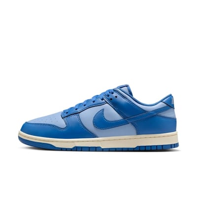 Nike Dunk Low HF5441-400