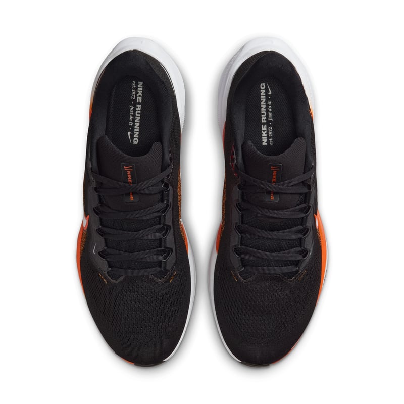 Nike Pegasus 41 FZ5136-002 04