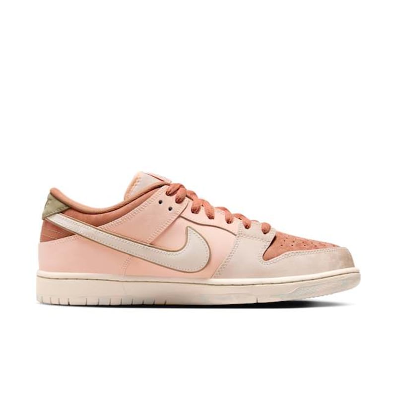 Nike SB Dunk Low Pro Premium FV5926-200 03