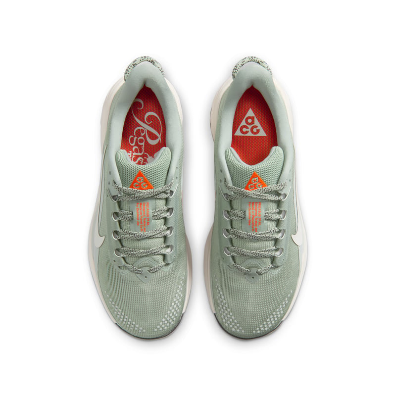 Nike ACG Pegasus HV8121-310 05