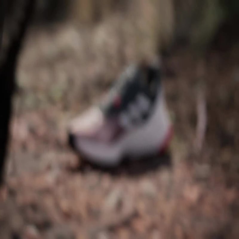 adidas Terrex Soulstride RAIN.RDY IH3878 02