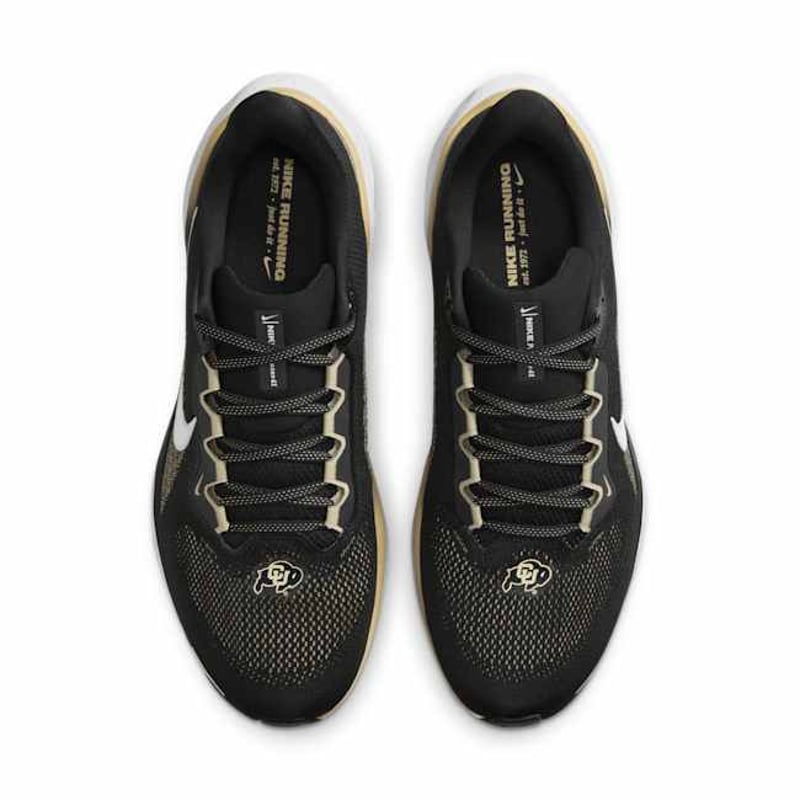Nike Pegasus 41 FZ5109-001 04