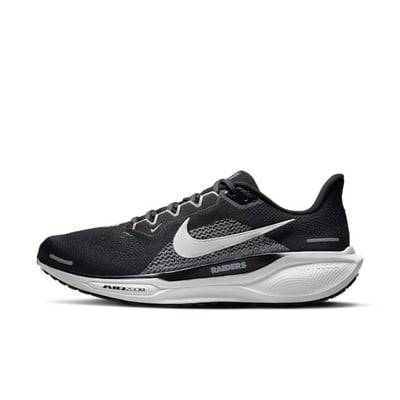 Nike Pegasus 41 x NFL FZ5093-001