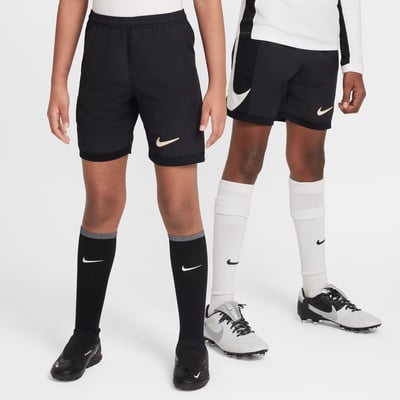 Nike Academy Dri-FIT HJ3833-010