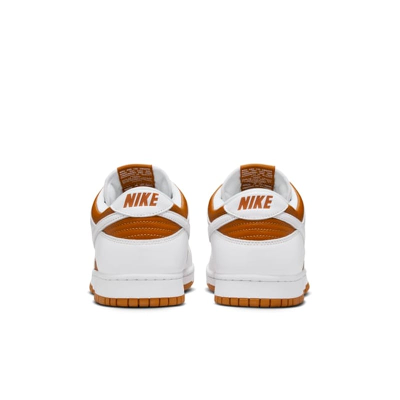 Nike Dunk Low FQ6965-700 06